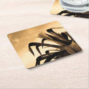 Sepia Spanish Aloe Plant Photograph Square Paper Coaster