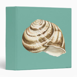 Sepia Striped Shell on Teal Binder