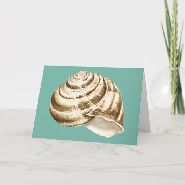 Sepia Striped Shell on Teal Card (Front)