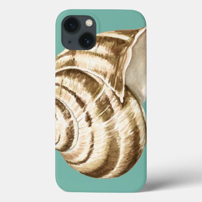 Sepia Striped Shell on Teal Case-Mate iPhone Case (Back)