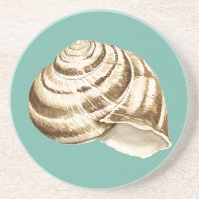 Sepia Striped Shell on Teal Coaster (Front)