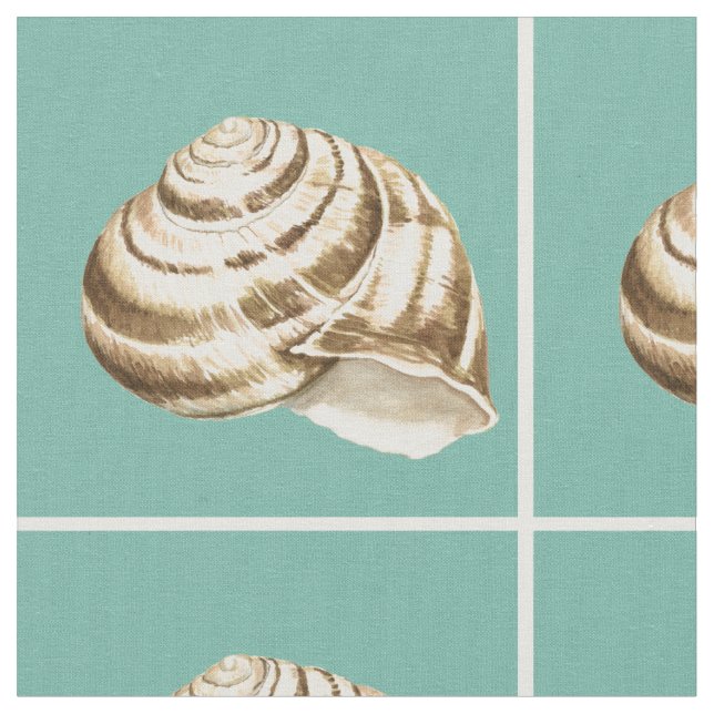 Sepia Striped Shell on Teal Fabric (Close Up)