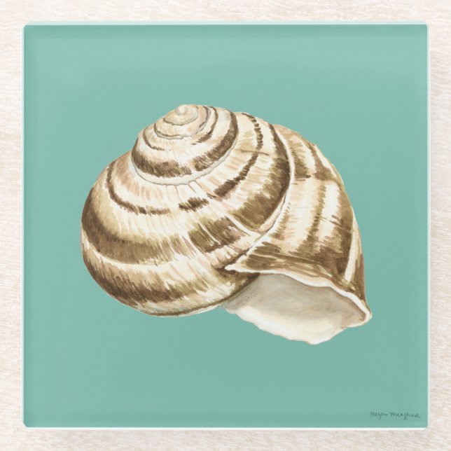 Sepia Striped Shell on Teal Glass Coaster (Front)