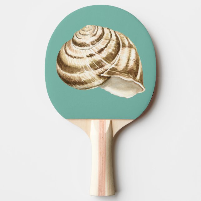 Sepia Striped Shell on Teal Ping Pong Paddle (Front)