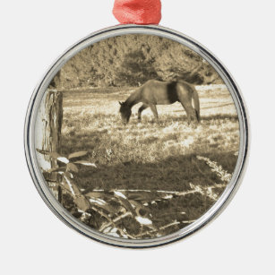 Sepia tone Brown horse and fence Metal Ornament