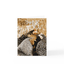 Sepia Tone Chickens Wedding Thank You Cards