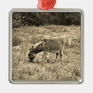 Sepia Tone Donkey  in a Field. Metal Ornament