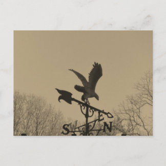Sepia Tone Eagle Weather vane Postcard