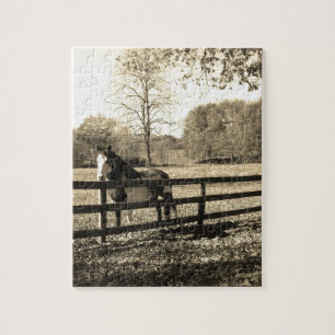Sepia Tone Photo of black and white Horse Jigsaw Puzzle