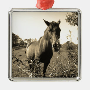 Sepia Tone  Photo of  brown Horse with flowers Metal Ornament