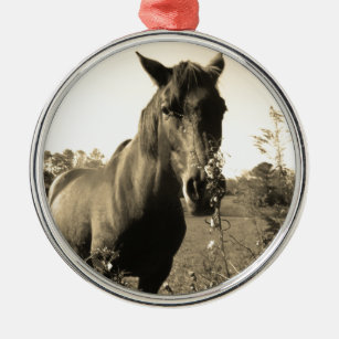 Sepia Tone  Photo of  brown Horse with flowers Metal Ornament