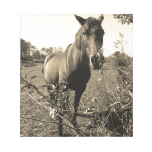 Sepia Tone  Photo of  brown Horse with flowers Notepad