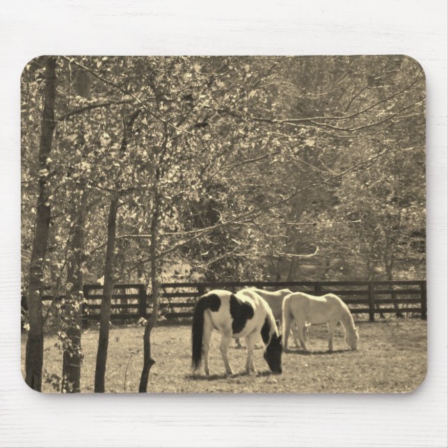 Sepia Tone  Photo of Horse Mouse Pad (Front)