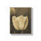 Sepia tone single tulip flower blossom up close