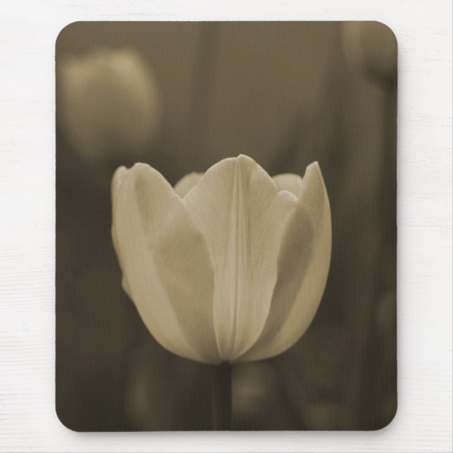 Sepia Tone Single Tulip Flower mousepad gift (Front)