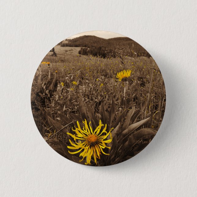 Sepia tone Yellow wildflowers 2 Inch Round Button (Front)