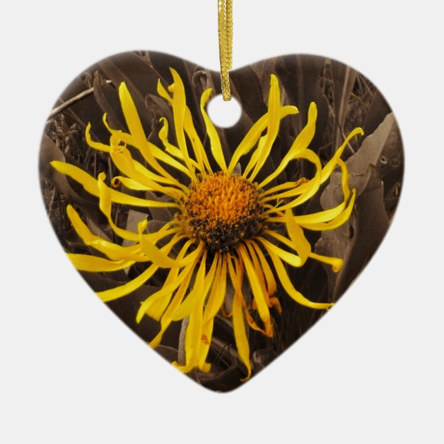 Sepia tone Yellow wildflowers Ceramic Ornament (Front)