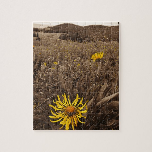 Sepia tone Yellow wildflowers Jigsaw Puzzle (Vertical)