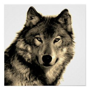 Sepia Unique Motivational Wolf Creative Square Poster