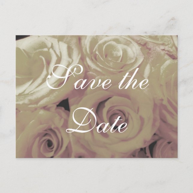 Sepia Vintage look Roses Enregistrer la carte post (Devant)