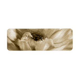 Sepia White & Cream Dahlia Background Customized