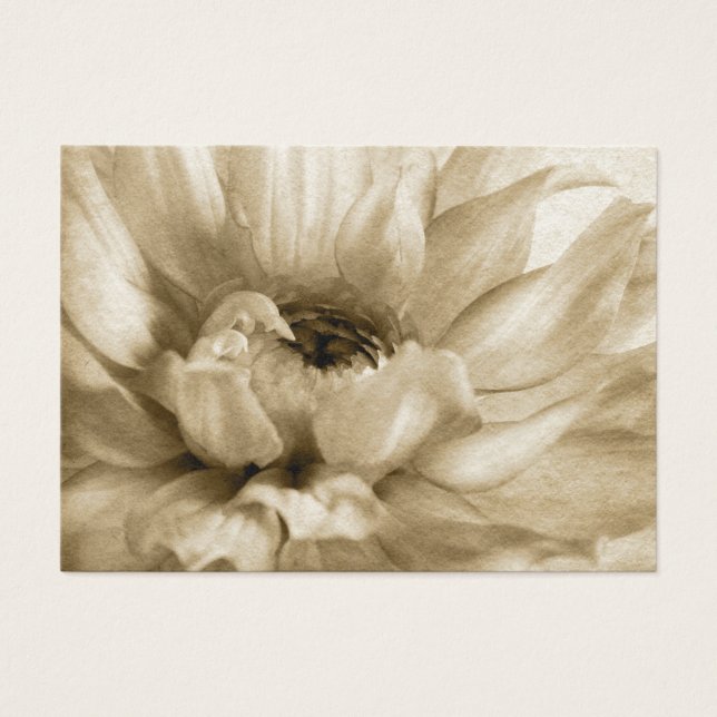 Sepia White & Cream Dahlia Background Customized (Front)
