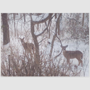 Sepia Winter Season Snow and Deer Photo Tissue Paper