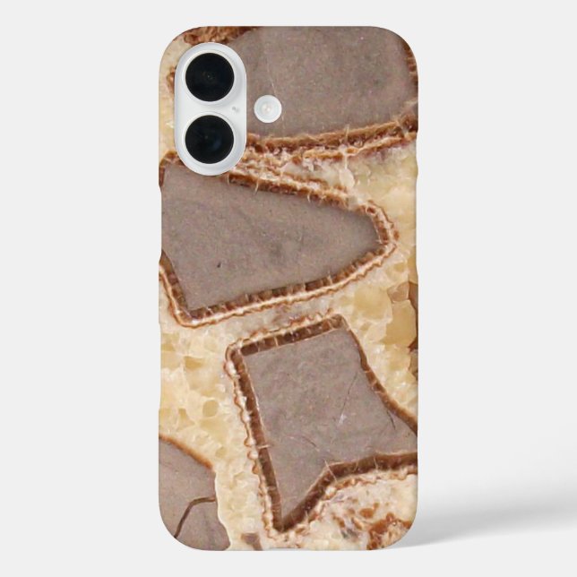 Septarian Nodule Cross Section,  Interesting Rocks Case-Mate iPhone Case (Back)