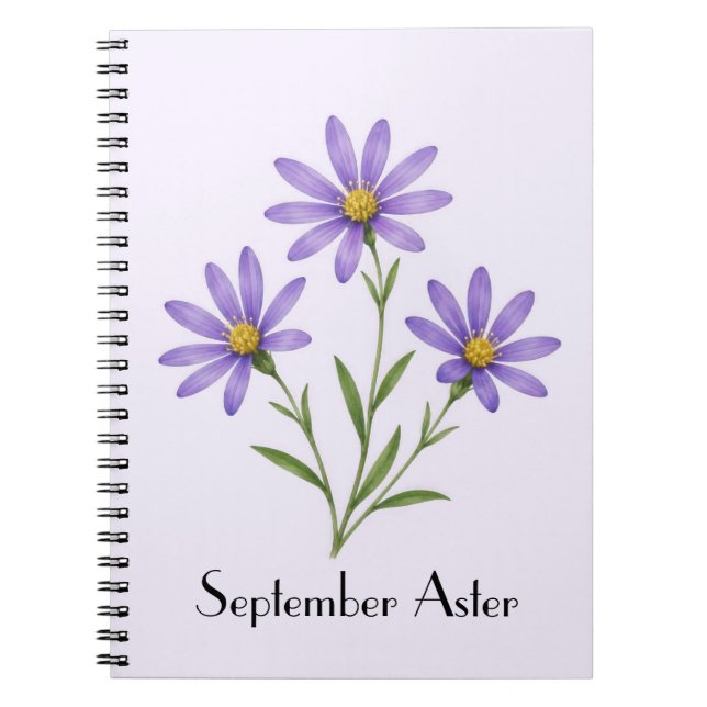 September Aster Flowers Notebook (Front)