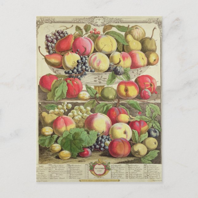 September, from 'Twelve Months of Fruits' Postcard (Front)