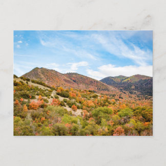 September in Payson Canyon Postcard