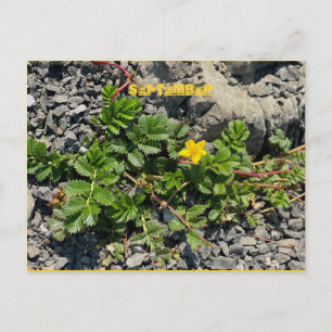 SEPTEMBER POSTCARD