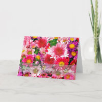 September Stunning Pink Asters for Birthday