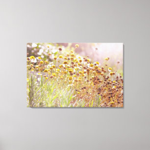 Septembers Magic Canvas Print