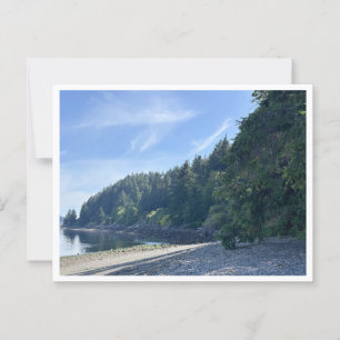 Sequallitchew Creek Trail Head Postcard