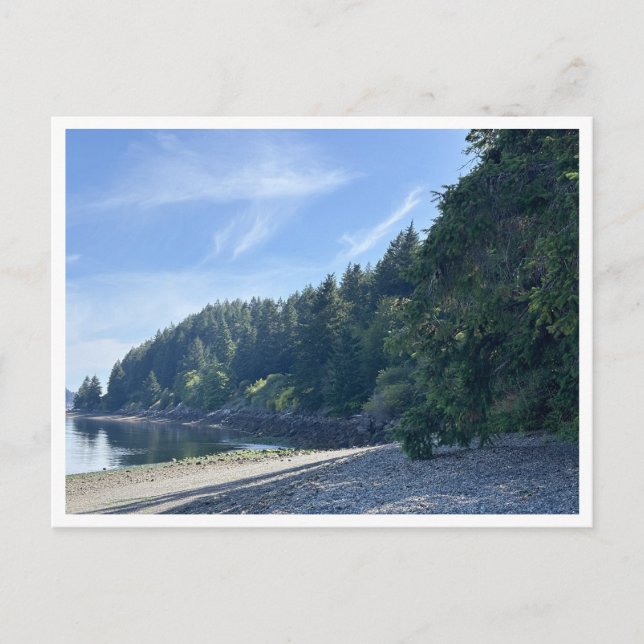 Sequallitchew Creek Trail Head Postcard (Front)