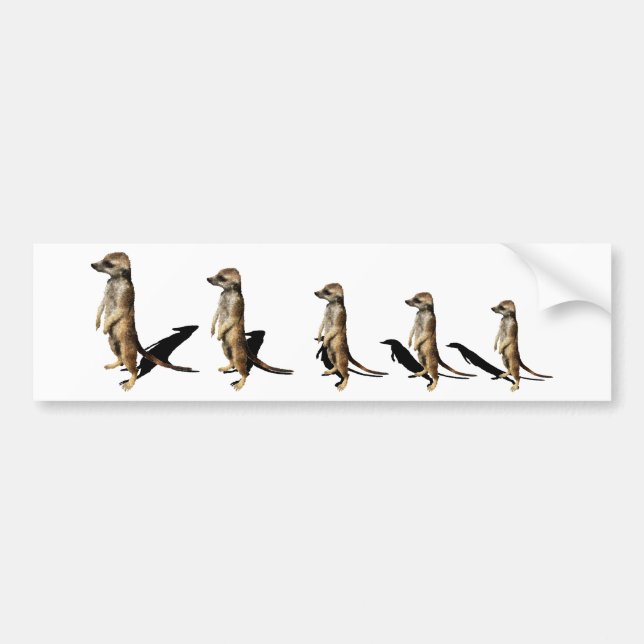sequential ground males bumper sticker (Front)