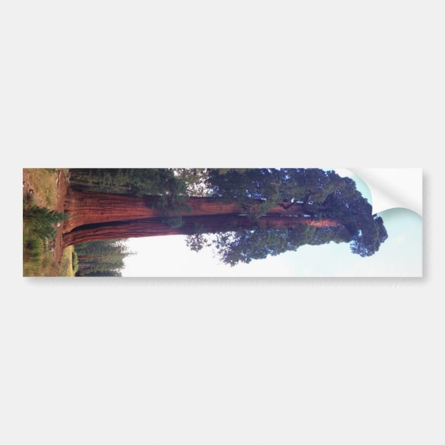 Sequoia Bumper Sticker (Front)