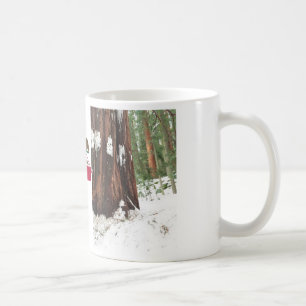 Séquoia dans la tasse de neige