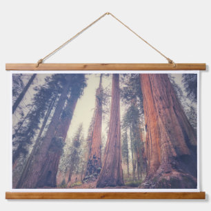 Sequoia Forest Hanging Tapestry