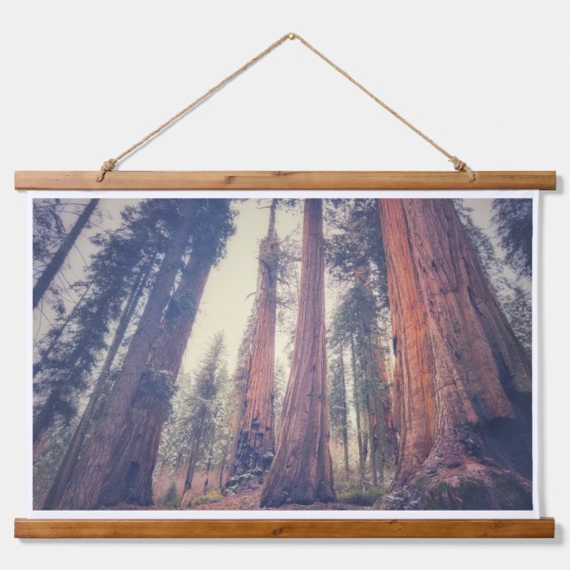 Sequoia Forest Hanging Tapestry (Front)