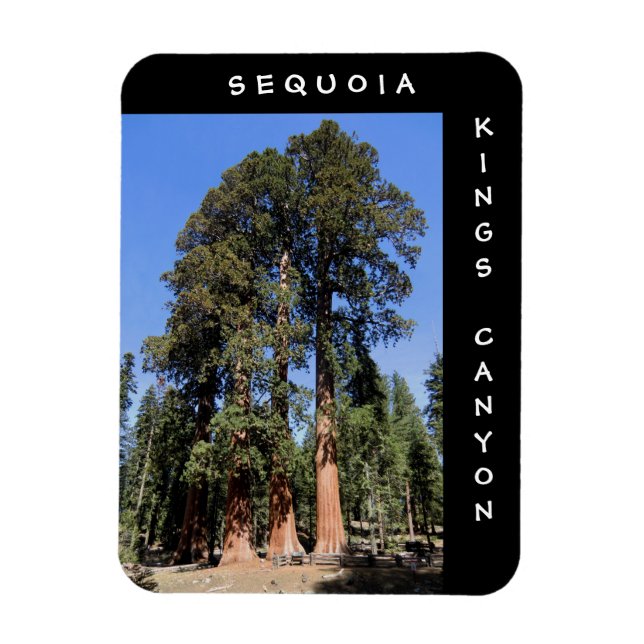 Sequoia Kings Canyon Magnet (Vertical)
