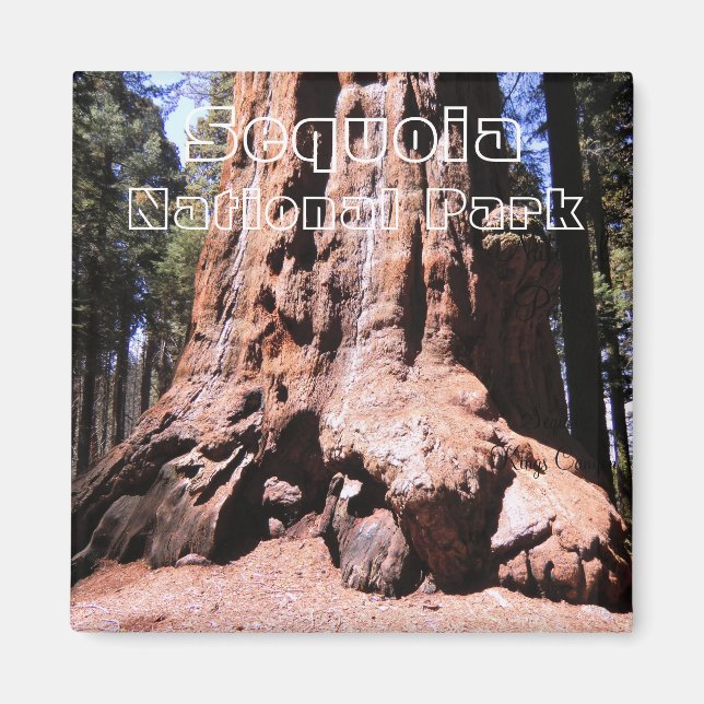 Sequoia/Kings Canyon National Park Magnet (Front)