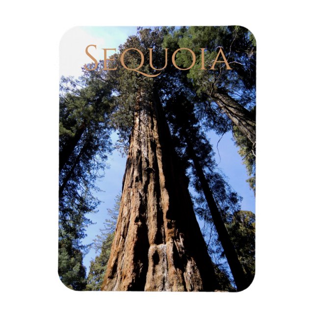 Sequoia/Kings Canyon National Park Magnet (Vertical)