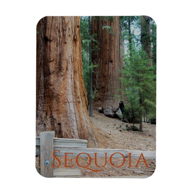 Sequoia/Kings Canyon National Park Magnet (Vertical)
