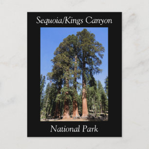 Sequoia Kings Canyon National Park Postcard