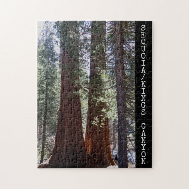 Sequoia/Kings Canyon National Park Puzzle (Vertical)