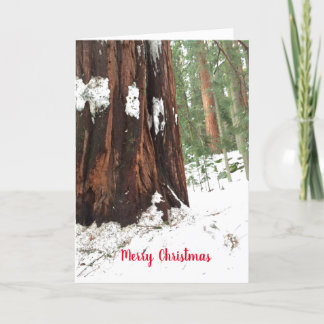 Sequoia Merry Christmas Greetings Card