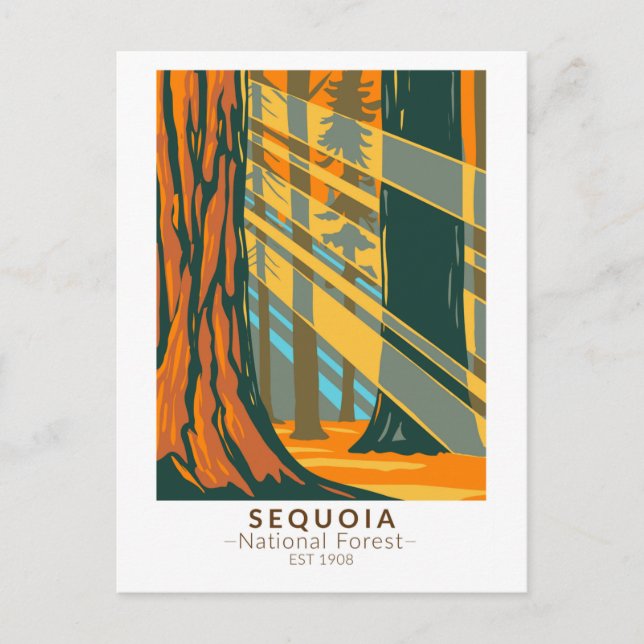 Sequoia National Forest California Vintage Postcard (Front)