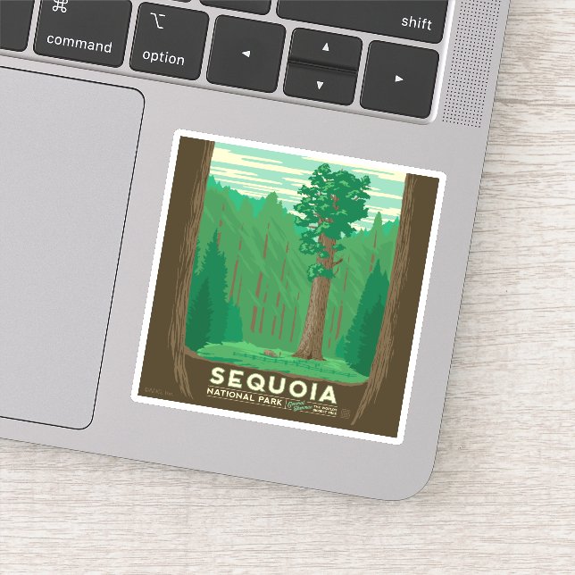 Sequoia National Park (Detail)